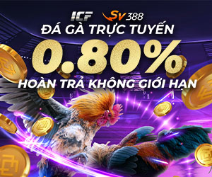 Hoàn trả mỗi ngày – Đá Gà: 0.80%