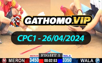 ĐÁ GÀ THOMO CPC1 NGÀY 26/04/2024