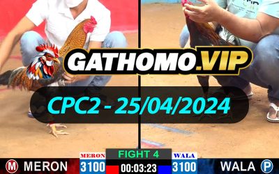 ĐÁ GÀ THOMO CPC2 NGÀY 25/04/2024