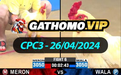 ĐÁ GÀ THOMO CPC3 NGÀY 26/04/2024