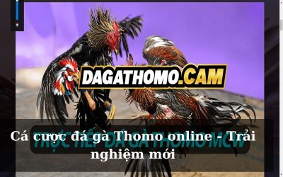 Cá cược đá gà Thomo online – Trải nghiệm thú vị nhất hiện nay