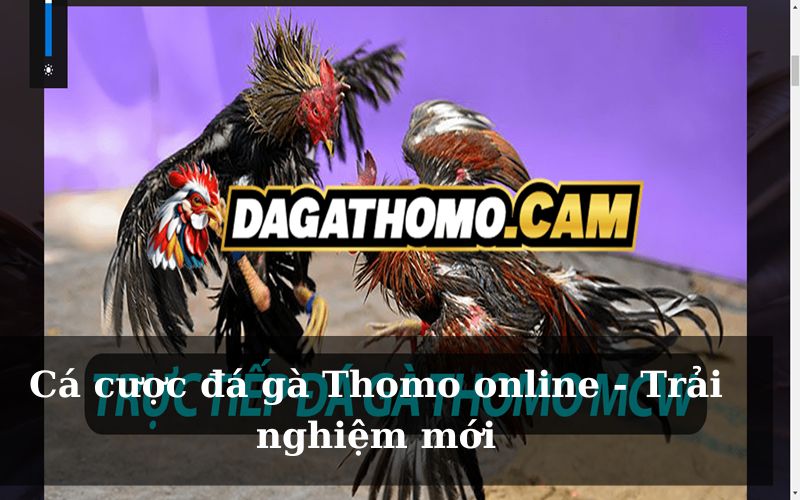 Cá cược đá gà Thomo online - Trải nghiệm thú vị nhất hiện nay