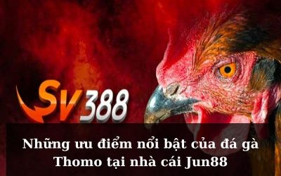 Nhà cái Jun88 – Nơi cá cược đá gà trực tuyến hàng đầu Việt Nam
