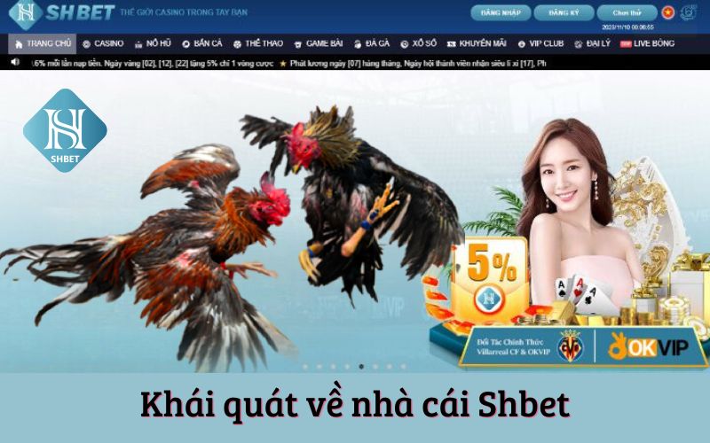 Nhà Cái Shbet – Điểm Đến Uy Tín Của Game Thủ Cá Cược Online