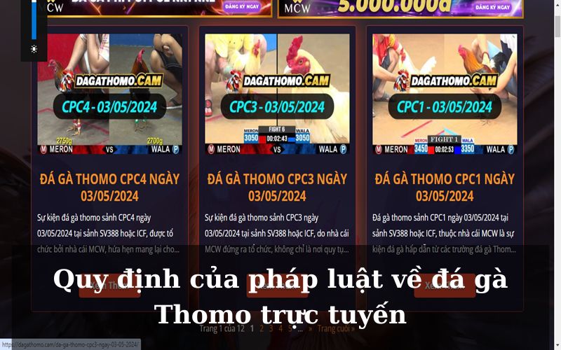 Quy định của pháp luật về đá gà Thomo trực tuyến tại nhà cái MCW