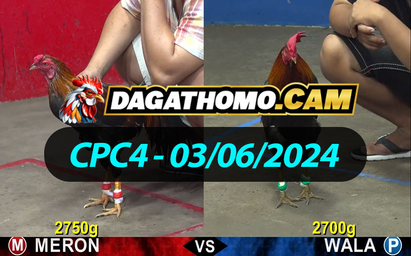 ĐÁ GÀ THOMO CPC4 NGÀY 03/06/2024