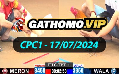 ĐÁ GÀ THOMO CPC1 NGÀY 17/07/2024