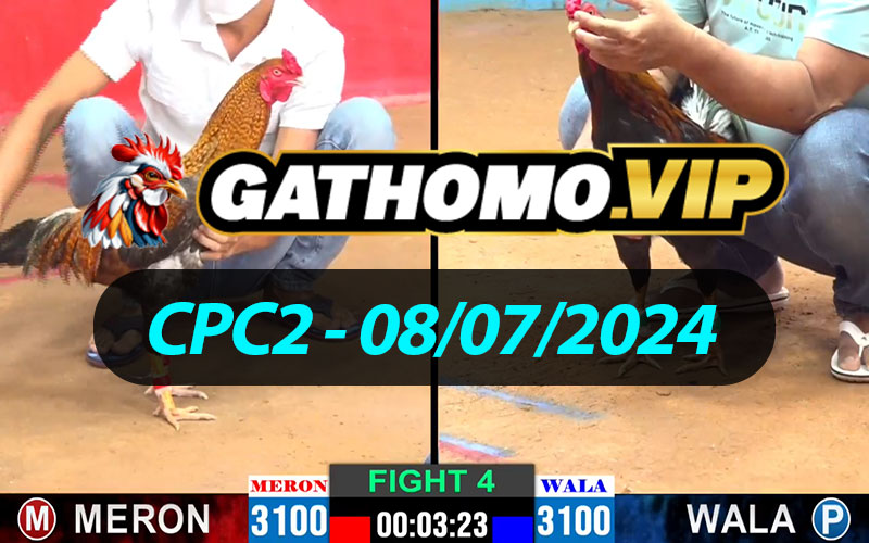 ĐÁ GÀ THOMO CPC2 NGÀY 08/07/2024