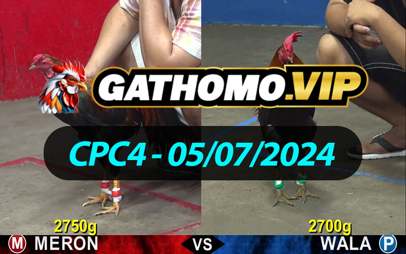 ĐÁ GÀ THOMO CPC4 NGÀY 05/07/2024