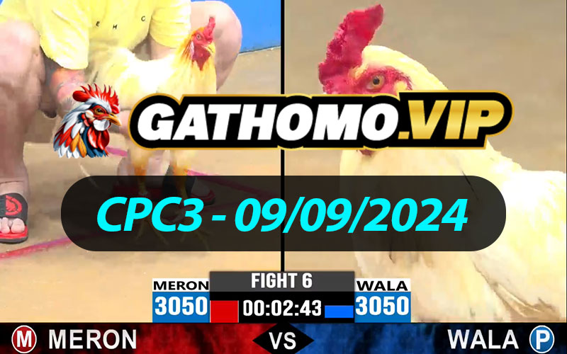 ĐÁ GÀ THOMO CPC3 NGÀY 09/09/2024