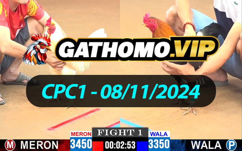 ĐÁ GÀ THOMO CPC1 NGÀY 08/11/2024