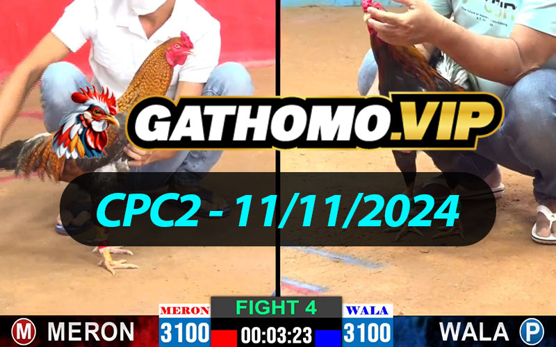 ĐÁ GÀ THOMO CPC2 NGÀY 11/11/2024