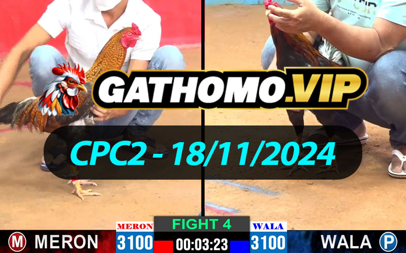 ĐÁ GÀ THOMO CPC2 NGÀY 18/11/2024